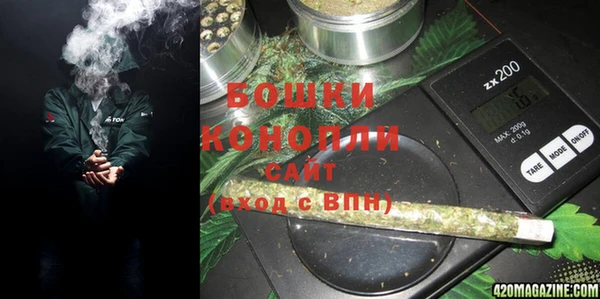 стаф Мегион