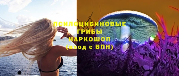 спиды Медвежьегорск