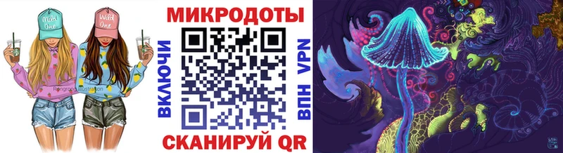 Купить где  Ковров  Галлюциногенные грибы Cubensis 